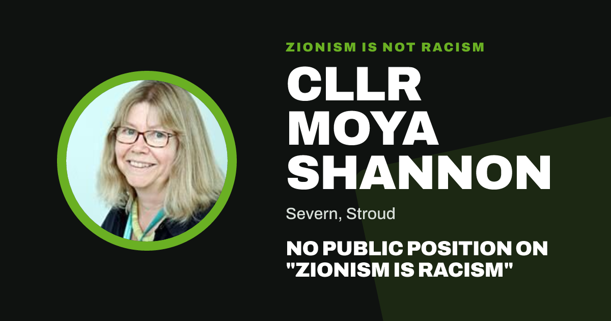 Share image: Cllr Moya Shannon, Severn ward, Stroud